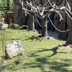 phoca_thumb_m_vlet km 20 Fotogalerie